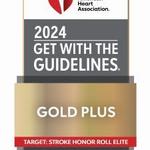 GWTG_TS ELITE-PLUS_2024_Gold badge