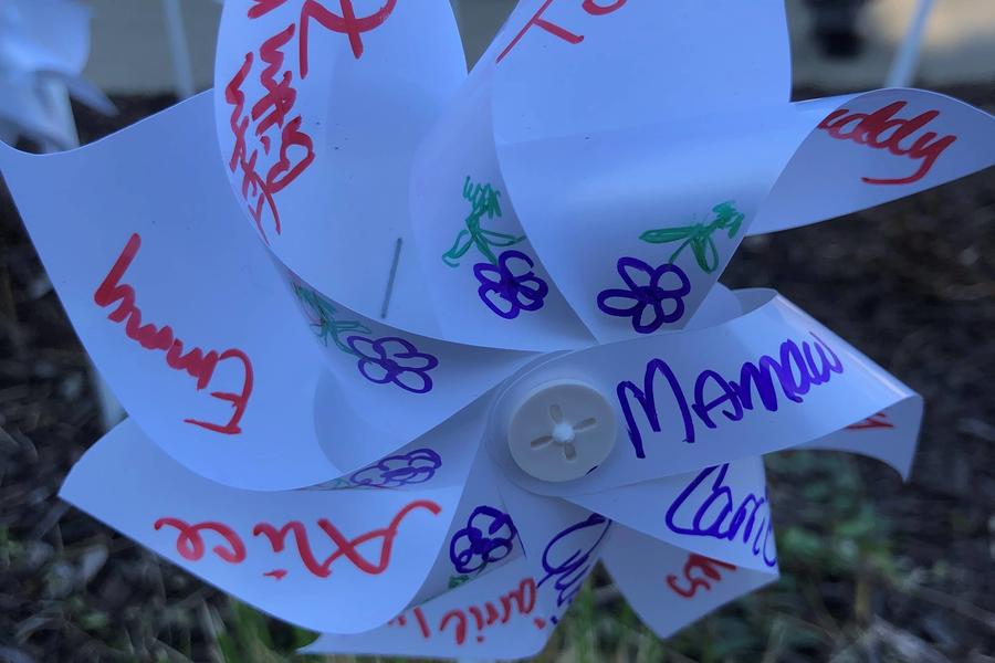 Lung cancer awareness celebration pinwheel